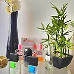 The Harmony Luxe Center With Free Private Parking And Seasonal Pool Free Wifi And Netflix By Namaste Elite Appartement Torremolinos